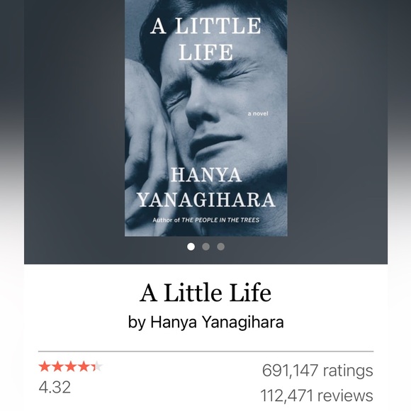 A Little Life by Hanya Yanagihara Man Booker Prize Winner Bestseller - Picture 2 of 6